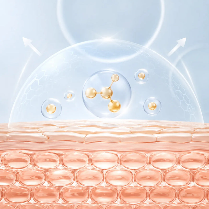 Ceramide Complex
